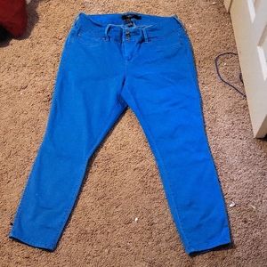 Torrid denim "blue" jeans